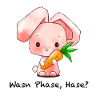 Wasn Phase, Hase?