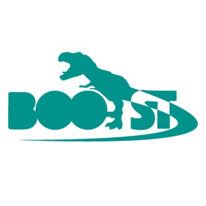 BOOSTie Logo Teal 2023