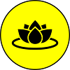Water Rose Icon Icon