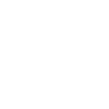 Paint Horse