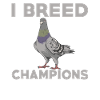 Pigeon breeder
