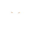 skaliert