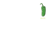 Chili Jalapenos Habaneros Carolina Reaper