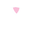 Cybersecurity - IT-Sicherheit Informatiker