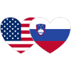 USA Slovenia Flag Heart