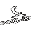 Motocross Cadeau Moto Mobylette