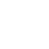 Limited edition of 1924