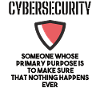 Cybersecurity - IT-Sicherheit Informatiker