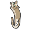 Cute Beige Cat