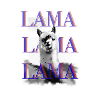 Lama stylish graphic design