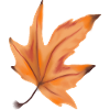 leaf autumn halloween maple
