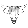 Bull