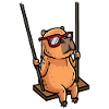 Capybara Swing Swing Drôle