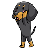 Brandlbracke Chien Emoticon