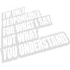 what I say quote