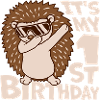 Hérisson 1er anniversaire dabbing