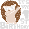 dabbing hérisson 1er anniversaire