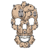 Capybara Skull Capybara