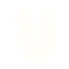Pineapple, fruit illustration