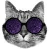 Cat and hypnotic glasses
