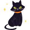 Black cat