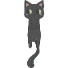 Cute Black cat
