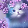 Chaton mignon
