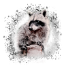 raccoon,bear,graffiti,painting,beige