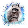 raccoon,bear,graffiti,painting,blue