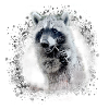 raccoon,bear,graffiti,painting,grey