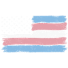 Transgender Pride USA LGBT Trans Flag