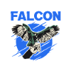 Miglior Falcon Dad di sempre Falcon Papa Falconry