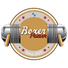Motor Boxer Power