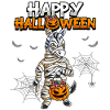 Halloween Zebra Mumie