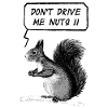 Dont drive me Nuts