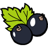 Cassis BlackCurrant Funny Gift Fruit