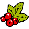 Groseilles rouges Drôle de cadeau