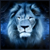 SURREAL LION 8