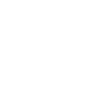 Spieß grill pulse