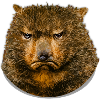 Quokka funny annoyed