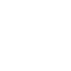 Programmer Computer Scientist