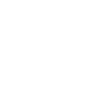 Programmer Computer Scientist