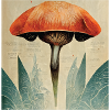 champignons crus