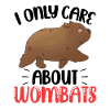 Likes only Wombat Australia marsupial