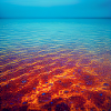 Calm Rainbow Sea