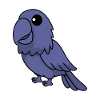 Papagai Comic Tier