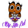 Wise little owl