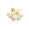 Blumen Hunde Papa Labrador