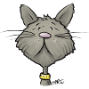 Tired Cat