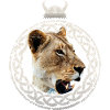 Viking lioness
